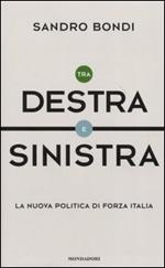 Tra Destra e Sinistra. La nuova politica di Forza Italia