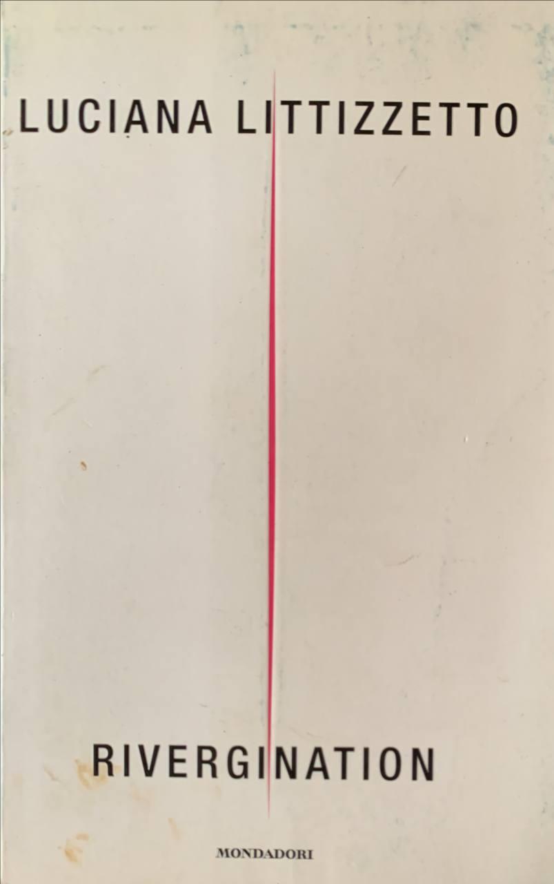 Librisaggi