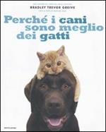 Perché i cani sono meglio dei gatti