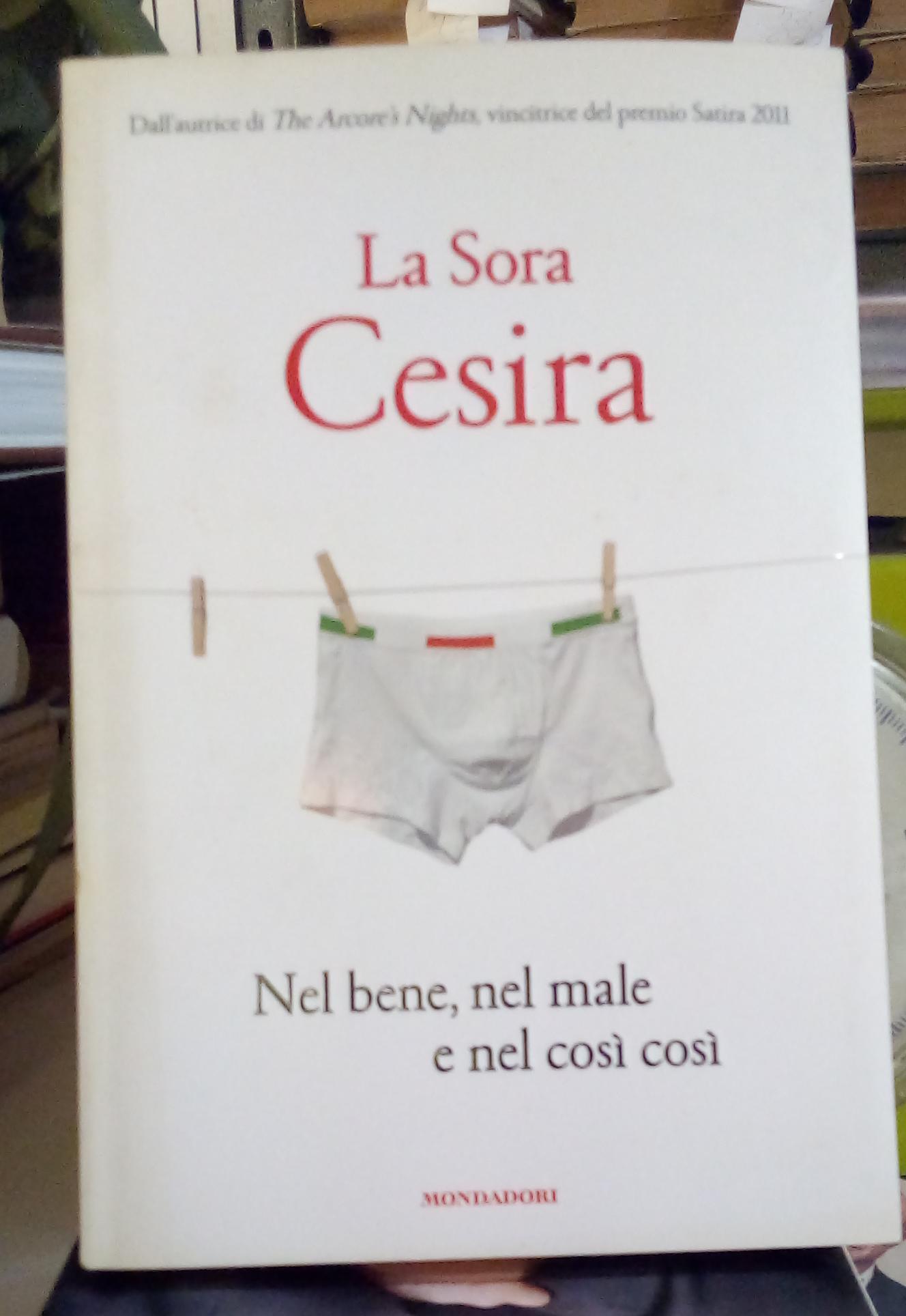 Librisaggi
