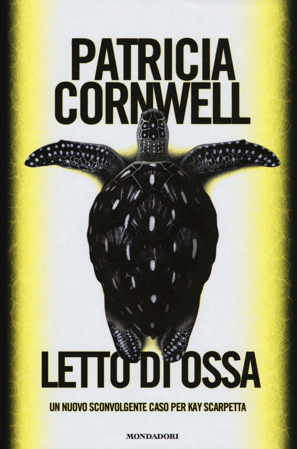 Libraccio
