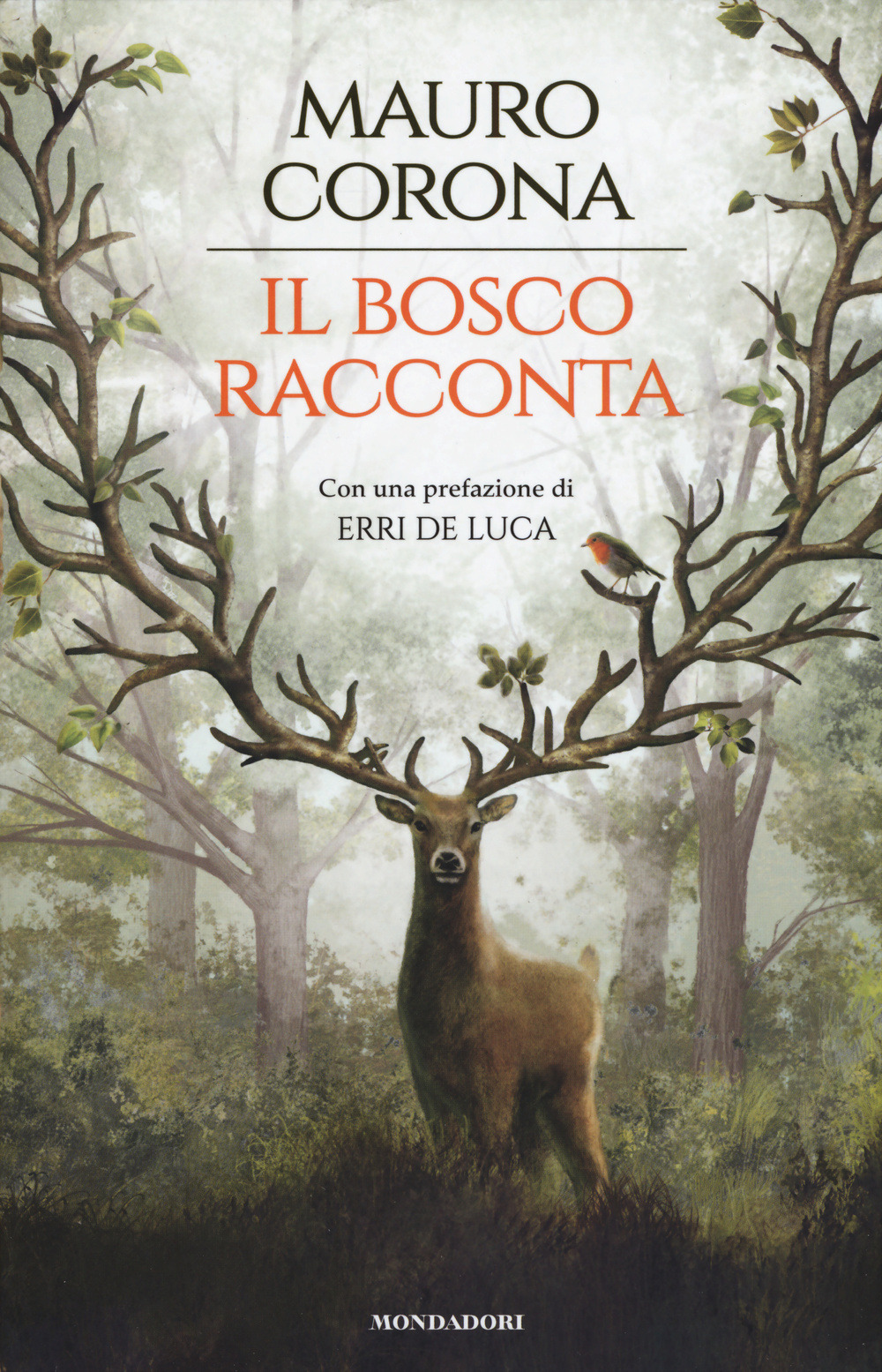 Libraccio