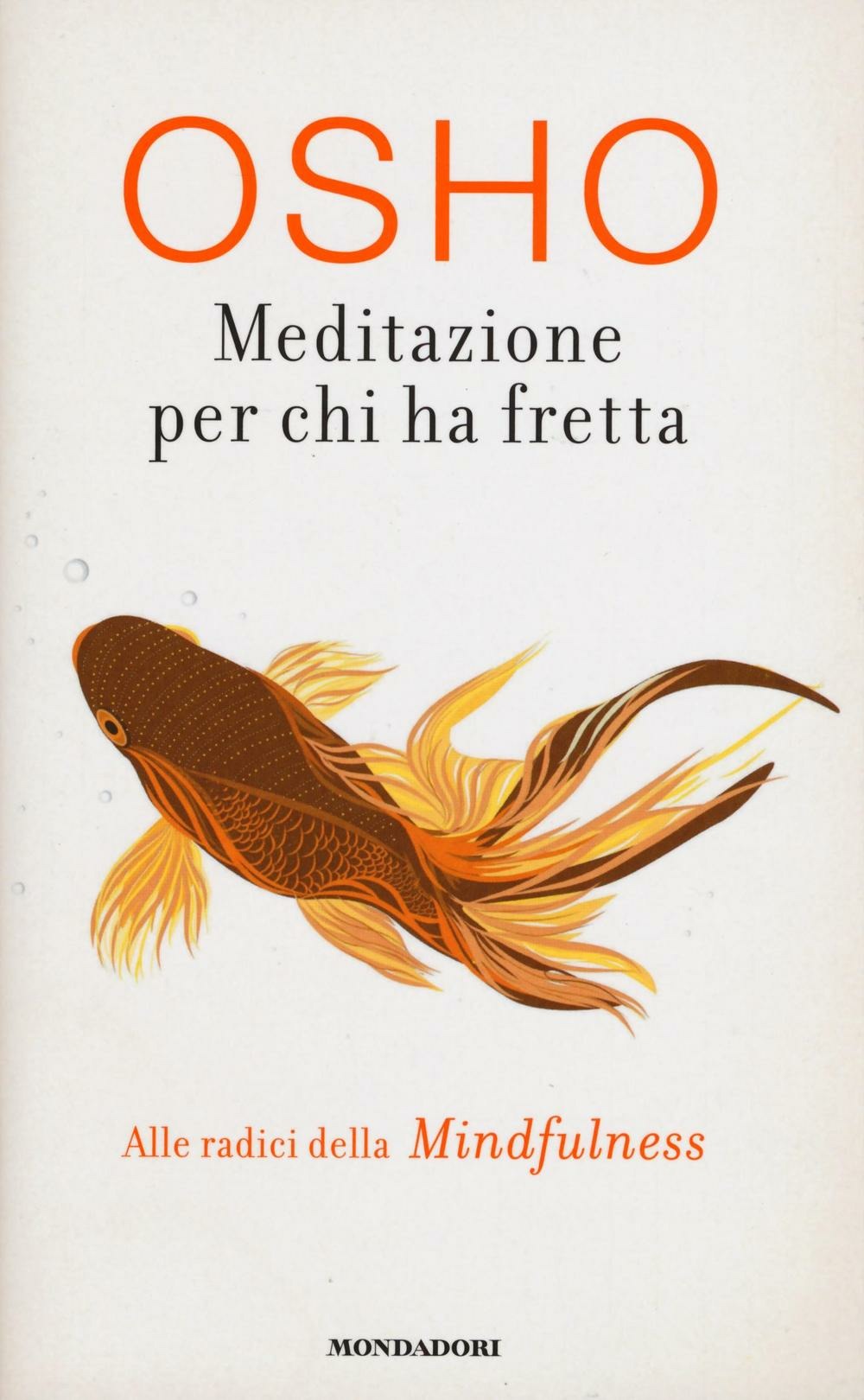 Libraccio