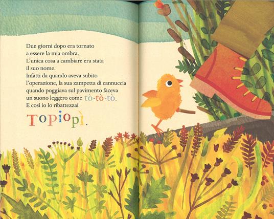 Topiopì. Ediz. illustrata - Andrea Camilleri - 5