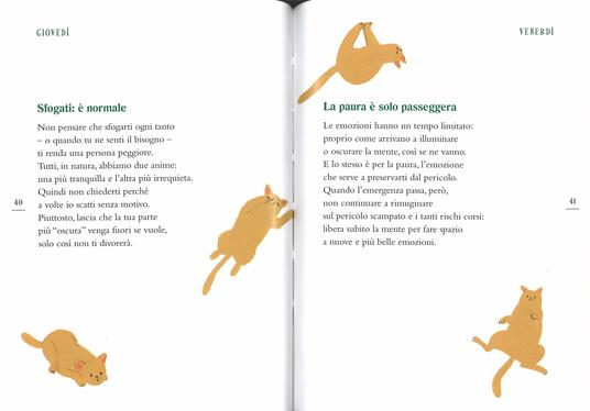 Il metodo Catfulness. La felicità insegnata da un gatto - Paolo Valentino -  Libro - Mondadori - Comefare