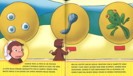 Le rane salterine. Curioso come George. Ediz. a colori. Vol. 2 - 4