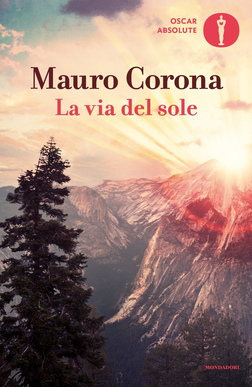 Libraccio