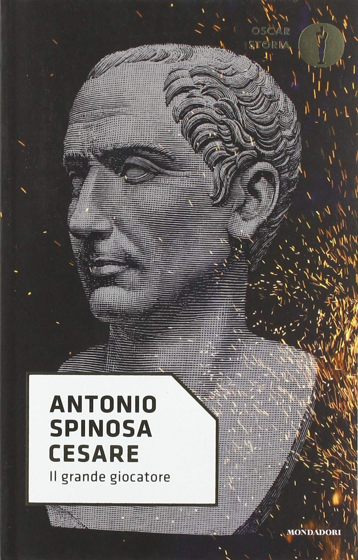 Libraccio