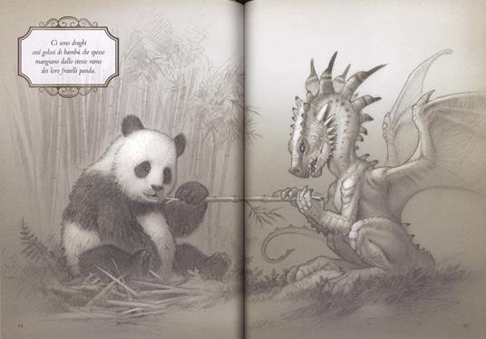 Draghi e altri animali. Ediz. a colori - Paolo Barbieri - 5