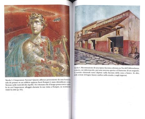 Pompei. Vita quotidiana in una città dell'antica Roma - Mary Beard - 2
