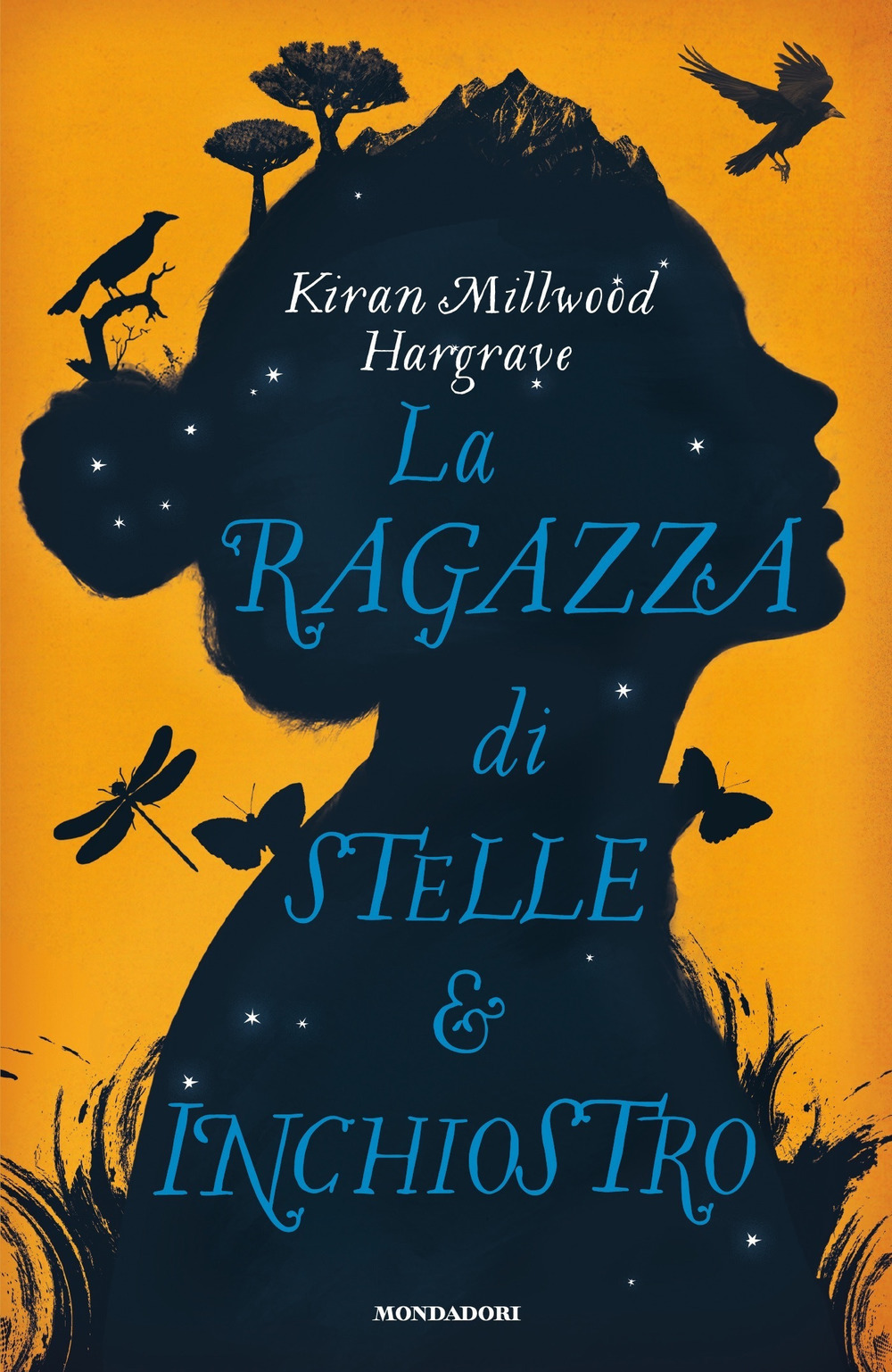 Libraccio