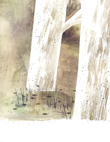 Il lupo, la papera e il topo. Ediz. a colori - Mac Barnett - 5