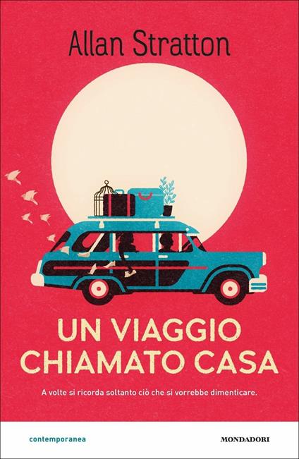 Un viaggio chiamato casa - Allan Stratton - copertina