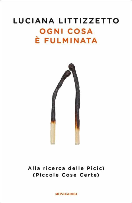 Ogni cosa è fulminata. Alla ricerca delle Picicì (Piccole Cose Certe) - Luciana Littizzetto - copertina