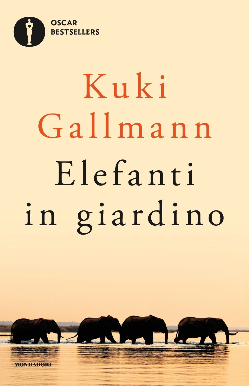 Libraccio