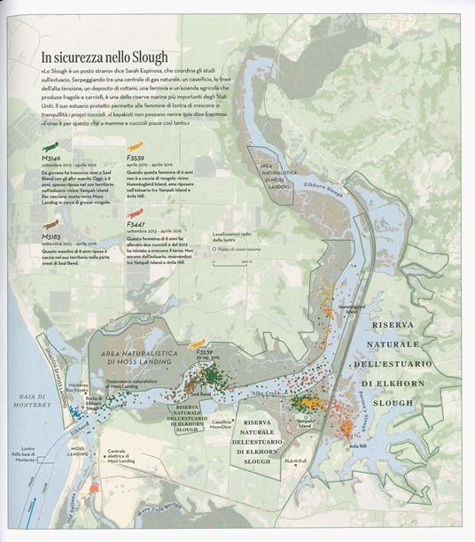 L' atlante della vita selvaggia. 50 grafici per scoprire i movimenti e le migrazioni degli animali - James Cheshire,Oliver Uberti - 2