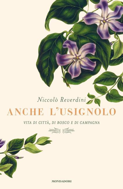 Anche l'usignolo. Vita di città, di bosco e di campagna - Niccolò Reverdini - copertina