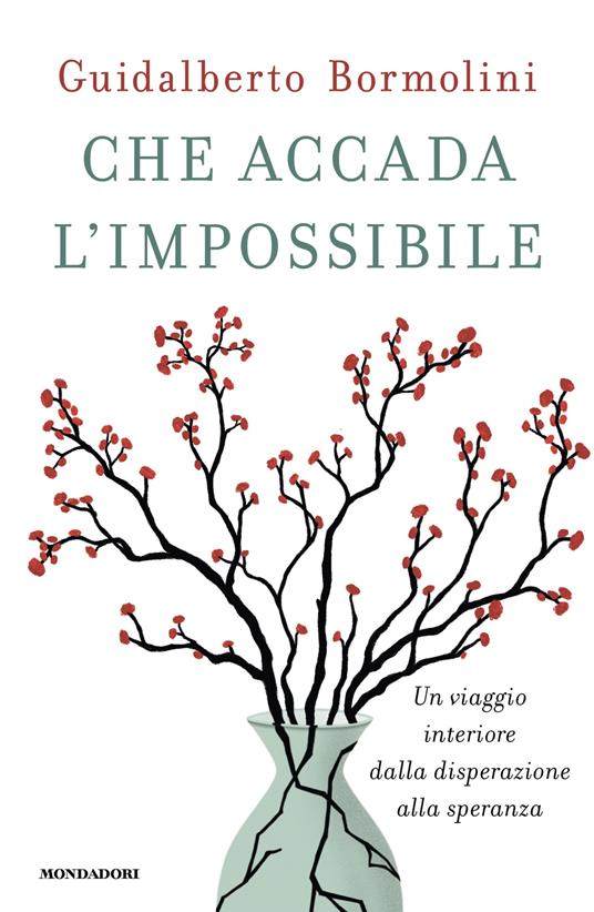 Che accada l'impossibile. Un viaggio interiore dalla disperazione alla speranza - Guidalberto Bormolini - copertina