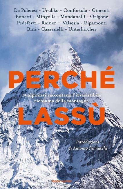 Perché lassù. 15 alpinisti raccontano l'irresistibile richiamo della montagna - copertina