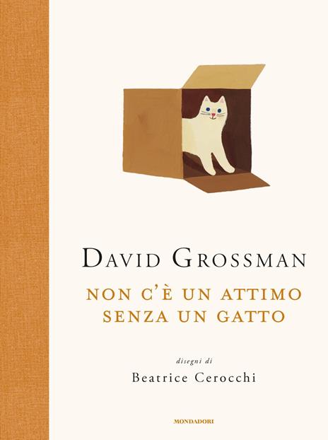 Non c'è un attimo senza un gatto - David Grossman - copertina