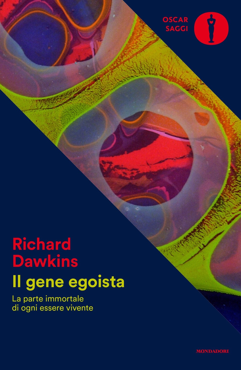 Libreria Internazionale Romagnosi snc