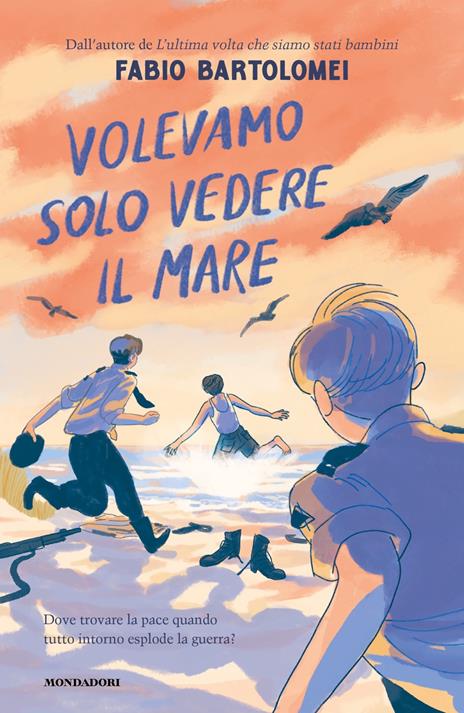 Volevamo solo vedere il mare - Fabio Bartolomei - copertina