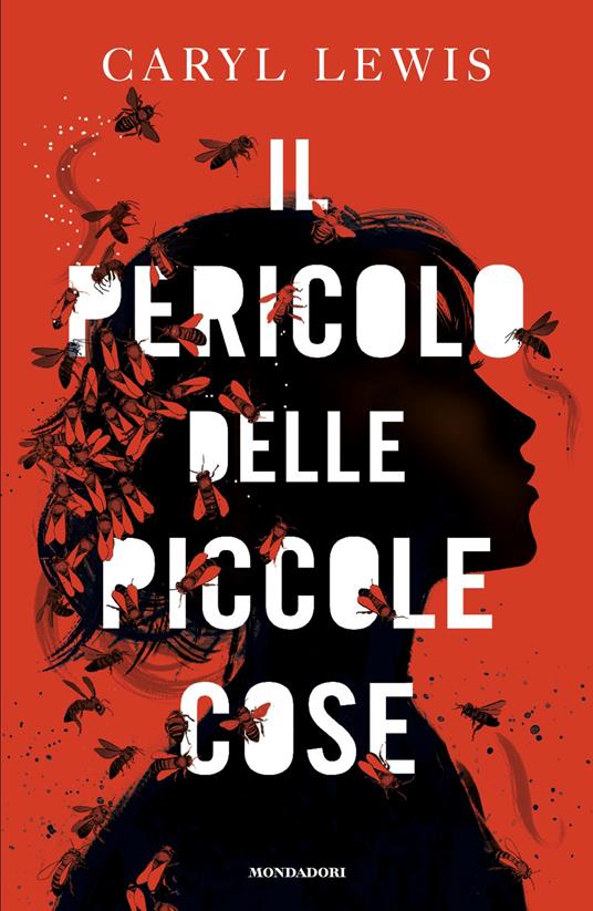 Il pericolo delle piccole cose - Caryl Lewis - copertina