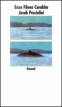 Carù Libreria Dischi