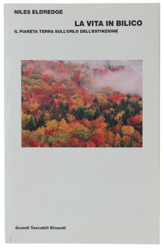 Bergoglio Libri d'Epoca Snc