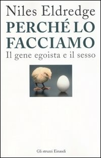 Libraccio