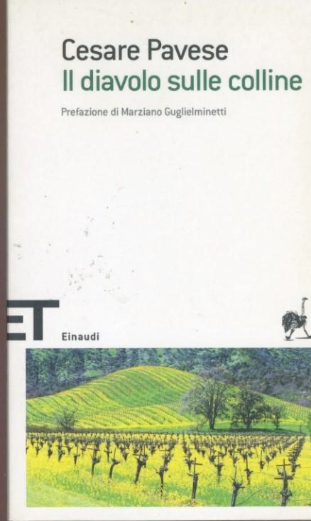 Librisaggi