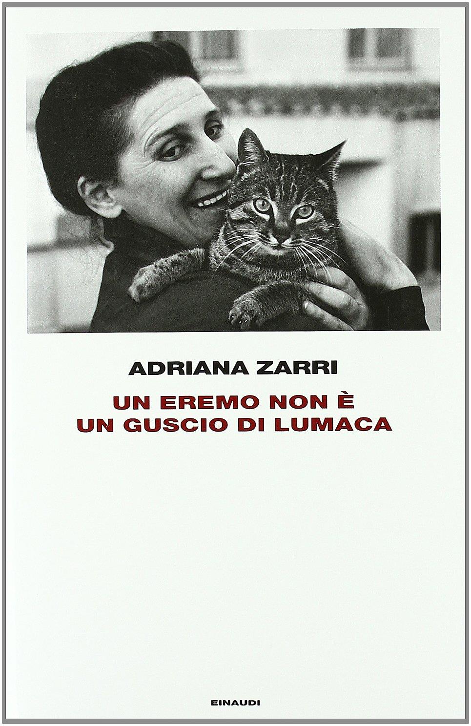 Librisaggi