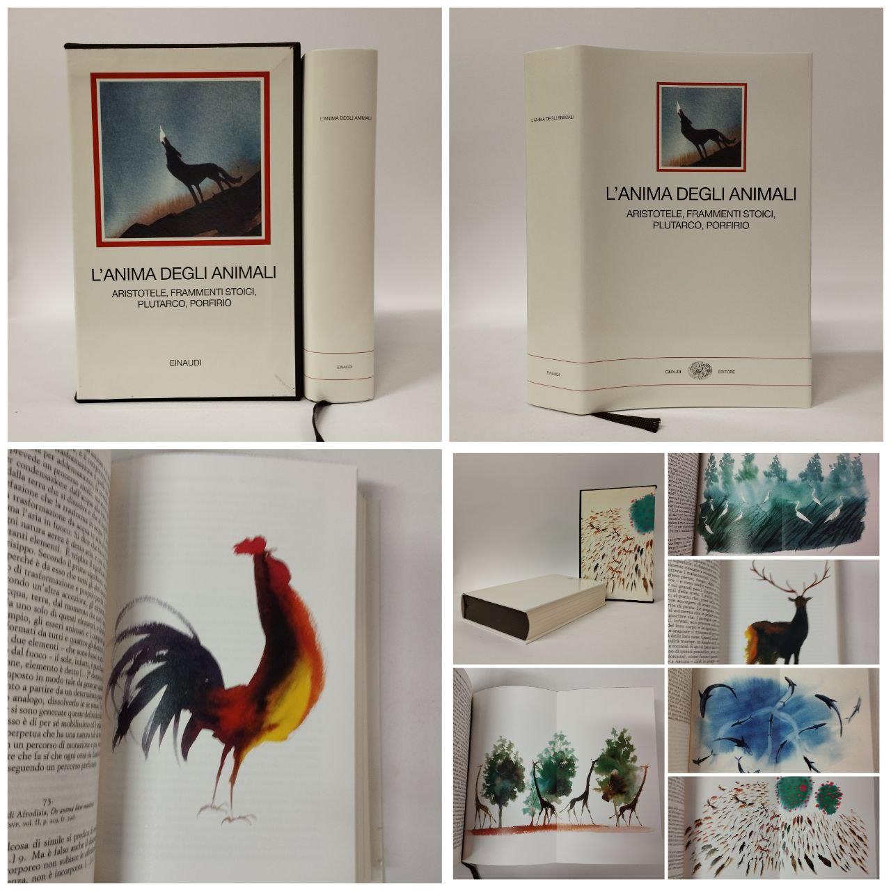 Equilibri Libreria