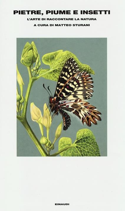 Pietre, piume e insetti. L'arte di raccontare la natura - copertina