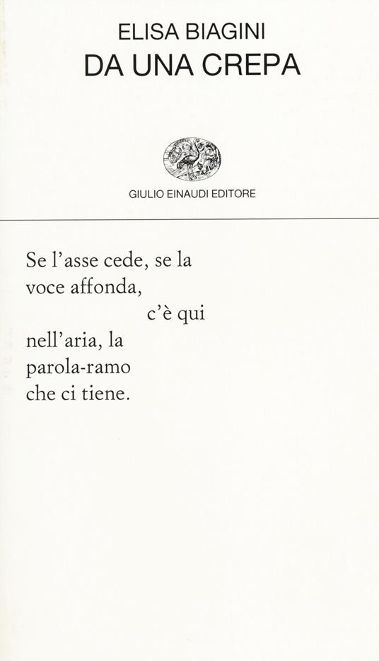 Da una crepa - Elisa Biagini - copertina