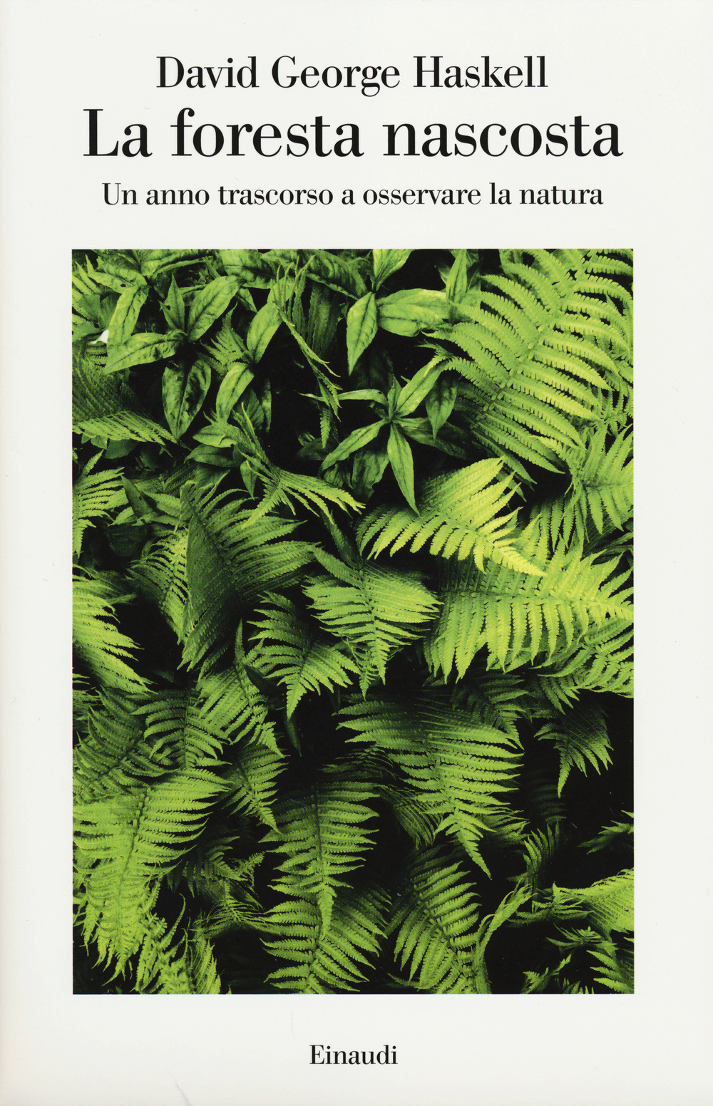 LOMELLIBRO