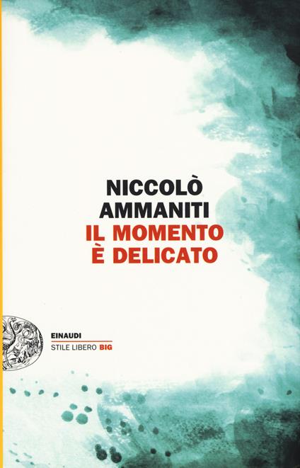 Il momento è delicato - Niccolò Ammaniti - copertina