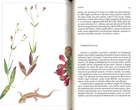 Un giardino semplice. Storie di felici accoglienze e armoniose convivenze - Paolo Pejrone - 5