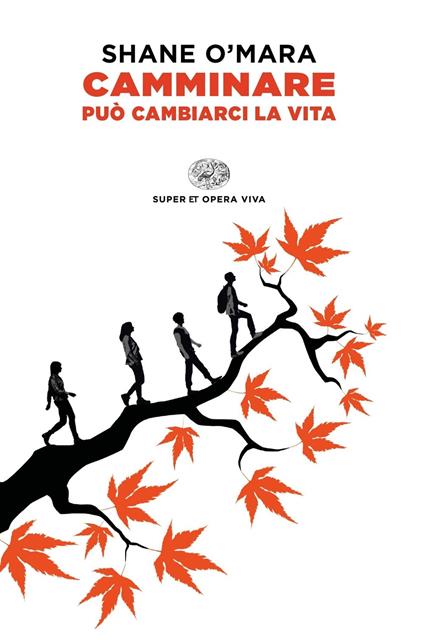 Camminare può cambiarci la vita - Shane O'Mara - copertina