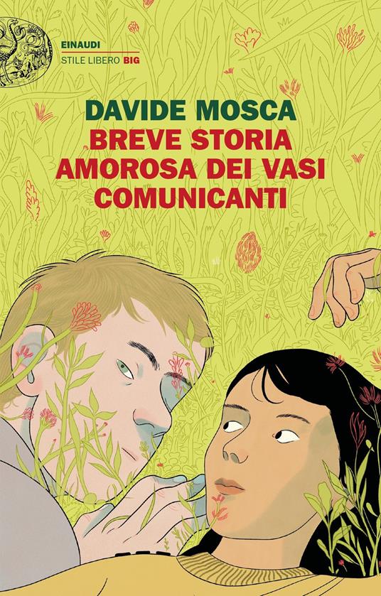 Breve storia amorosa dei vasi comunicanti - Davide Mosca - copertina