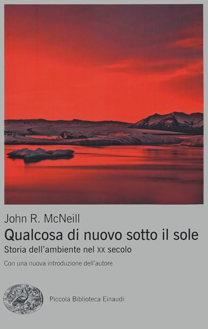 Qualcosa di nuovo sotto il sole. Storia dell'ambiente nel XX secolo - John R. McNeill - copertina