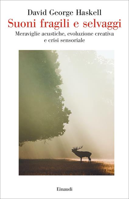 Suoni fragili e selvaggi. Meraviglie acustiche, evoluzione creativa e crisi sensoriale - David George Haskell - copertina