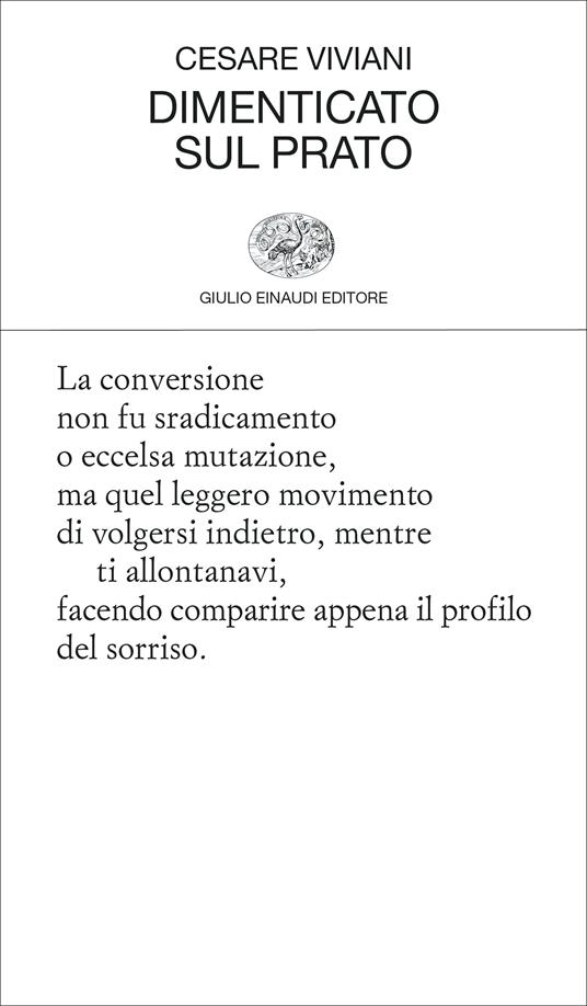 Dimenticato sul prato - Cesare Viviani - copertina