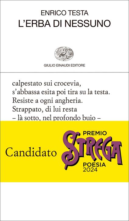 L'erba di nessuno - Enrico Testa - copertina