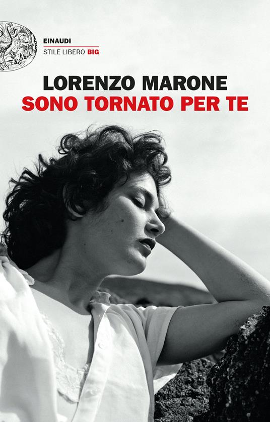 Sono tornato per te - Lorenzo Marone - copertina
