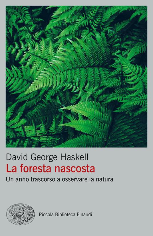 La foresta nascosta. Un anno trascorso a osservare la natura - David George Haskell - copertina
