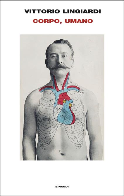 Corpo, umano - Vittorio Lingiardi - copertina