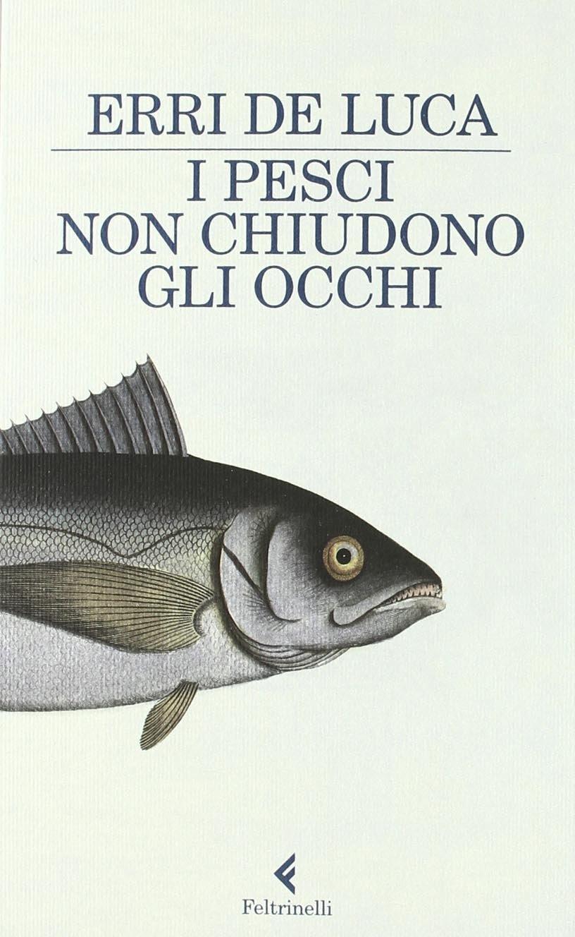 Librisaggi