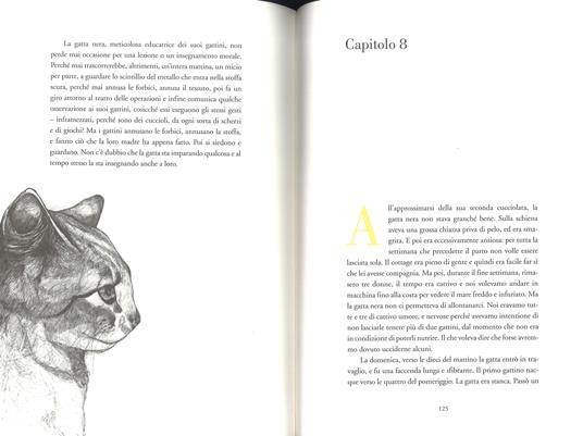 Gatti molto speciali - Doris Lessing - 5