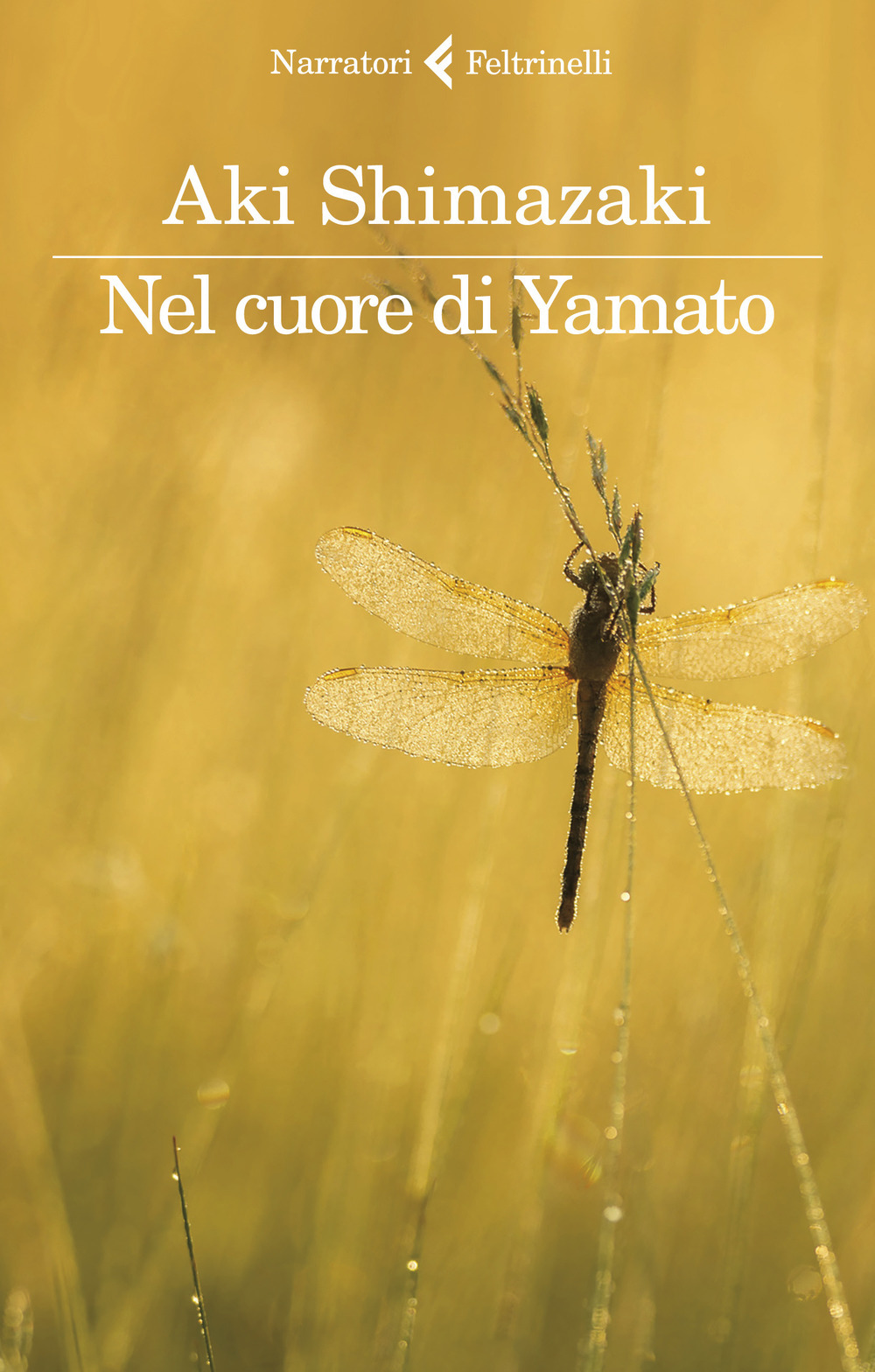 Libraccio